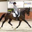 Roxanne Siebeling - Goldfever - ZZ licht
